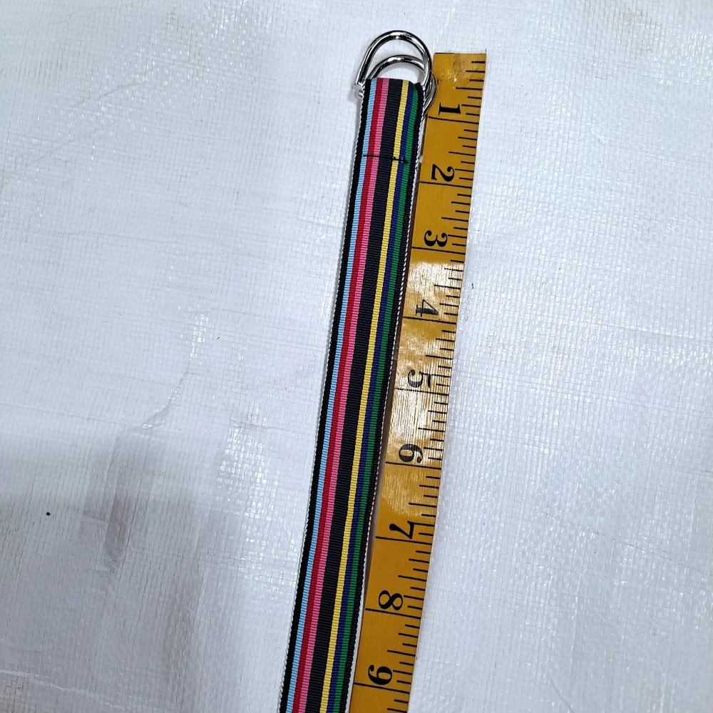 CK Bradley Rainbow Ribbon Fabric Double D Ring Belt